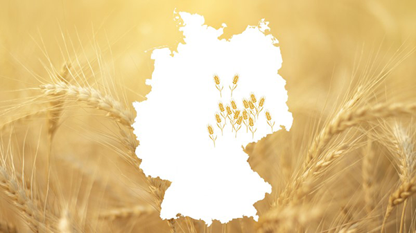 A golden cornfield landscape frames a white silhouette of Germany with ear of corn symbols.