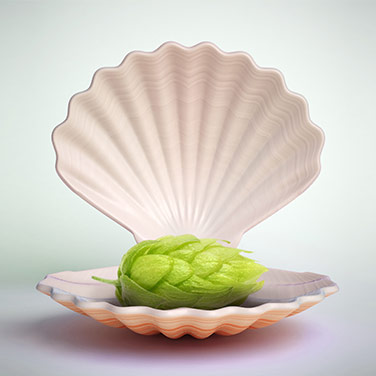 A green hop cone lies in the center of an open, shell-shaped bowl.
